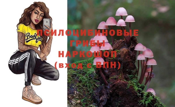 меф Нягань